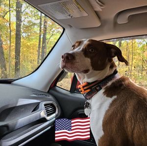 Meet your Posher, Diana